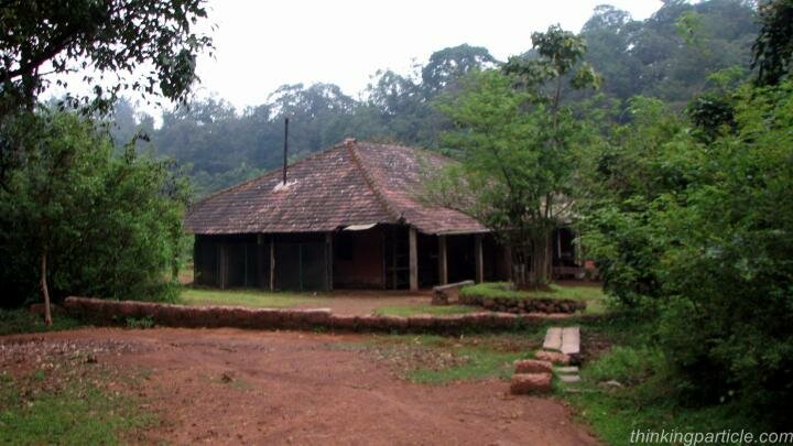 Agumbe Rain forest research station