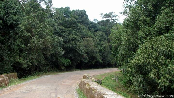 Road through Agumbe Rainforest