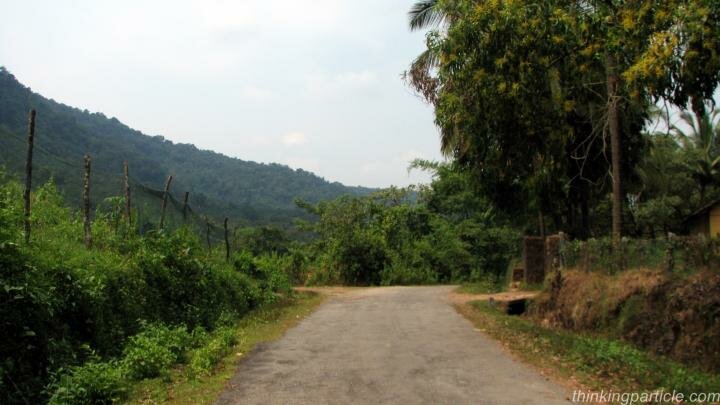Road to Kudlu Thirtha Waterfalls